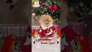 Со Старым Новым Годом!  