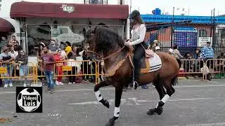 TOPE SAN JOSE 2022 / TRADICIONES DE COSTA RICA