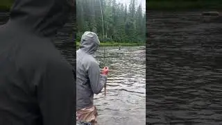 Catch and release taimen and lenok