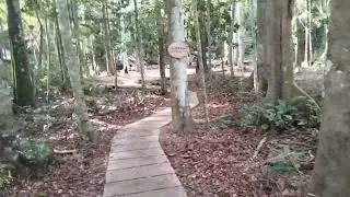 Gua Maria Kombeng SP 5 Pantun