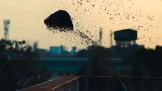How to Make Disintegration Effect In Adobe After Effects