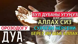 ОРОЗОДО УШУЛ ДУБАНЫ УГУП АЛЛАХА ДУБА КЫЛСАҢЫЗ ЖАШООҢУЗДА ЧОҢ ӨЗГӨРҮЛӨР БОЛОТ БОЛОТ ИН ШАА АЛЛАХ
