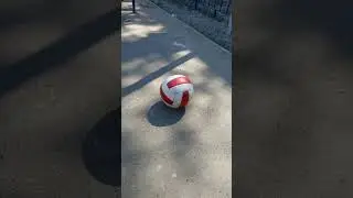 премия на самое лучшее видео🏆