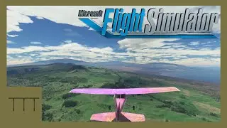 Aloha Hawaii Bush Trip! [Legs 6, 7] Microsoft Flight Simulator!
