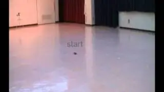 Starting and stopping a cyborg insect