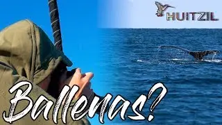 HUITZIL De VIAJE...... VALLARTA en 