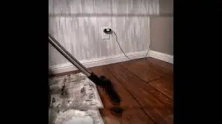 Vacuum carpets and DEODORIZE the air at the same time! #sirenavacuum #cleaning #shorts