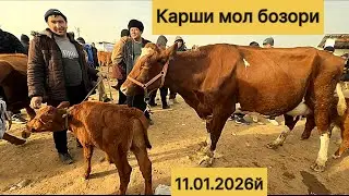Карши Карвон мол бозори нархлари 11.012026й