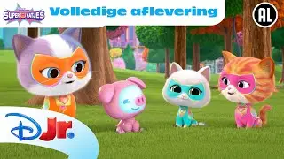 🐷 Dansend Biggetje | Super Katjes | Volledige Aflevering | Disney Junior BE