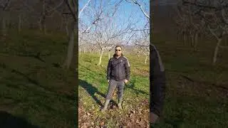Ceviz soğuklama ihtiyacı