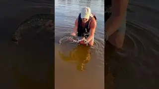 Жара, сом, Припять
