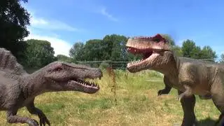 DINOSAURS alive