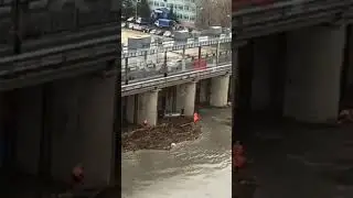 в Кургане забило дамбу мусором, спасатели распиливают завал 