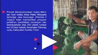 Mempromosikan literasi keuangan dan digitalisasi bagi petani rumput laut di Sumba Timur