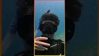 science experiment effect