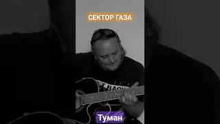 Туман. Сектор газа. Акустика. Кавер.