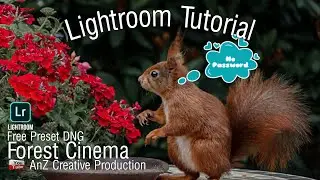 Lightroom Tutorial - Forest Cinema | Free Lightroom Preset | No Password