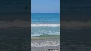Cyprus. Episkopi beach. Кипр. Пляж Эпископи.
