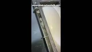 Kaşar Kuru Haşlama Makinesi — Kashkaval Steam Cooking Machine 300 Kg