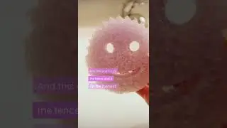 Is Scrub Daddy Actually Worth it?