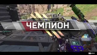 Ареховый топ