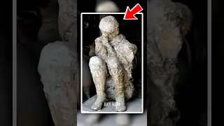 Horrific Incident In History 😳 (mount vesuvius eruption)