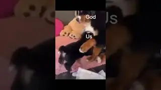 He loves us! ❤️