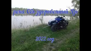 река Обь здоровенный Язь ( 2022 год )