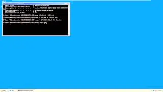 Actvity 3 13 Using Command Line Utilities for Troubleshooting