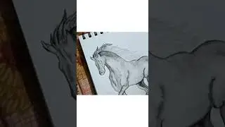 horse drawing with water colour || how to draw a horse