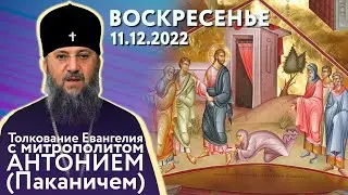 Толкование Евангелия с митр. Антонием (Паканичем). Воскресенье, 11 декабря 2022 года.
