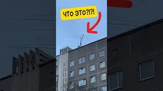 Это что это такое за чудище?!