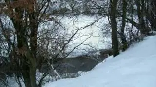 Не взыщи, мои признанья грубы...