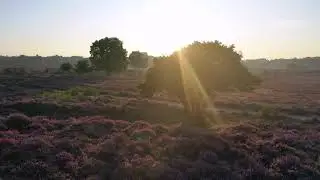 Drone Heide Sunrise Mavic Pro 2