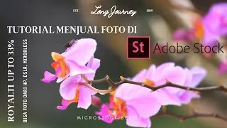 Hasilkan Dollar dari Hp | Tutorial Menjual Foto di Adobestock