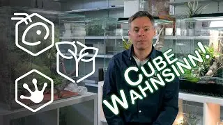 Three CUBES – many possibilities ✨
