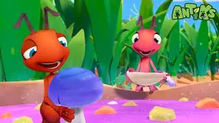 The Mystery Potion 🍲| Antiks 🐜 | Funny Cartoons for Kids