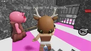 Funny piggy video