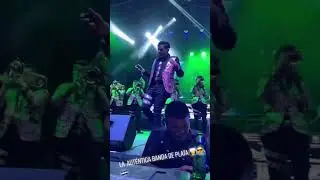 De los besos que te di 