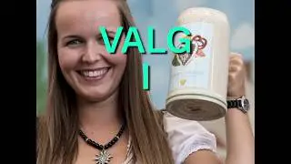 Miniguide til det tyske valg (2017)