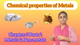 Chapter: 3 Part: 2 Chemical properties of Metals | Science for Class 10th (2023-24) | Board Exams