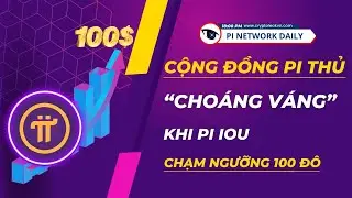 Nghịch Lý Pi IOU Khi Giá Đạt Đỉnh 100 Đô Trong Năm 2024