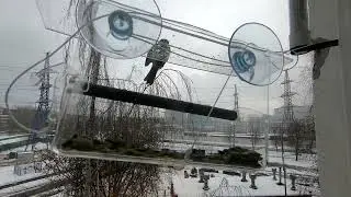 Зимняя столовая для синиц