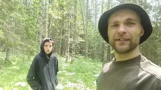 Начал закупать чагу. Поиск чаги