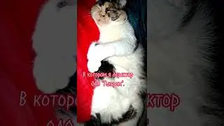Приснится же😂 