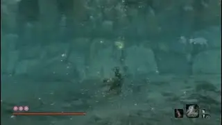 SEKIRO shadows DIE twice NG+ Part 14 GUARDIAN APE+HEADLESS APE