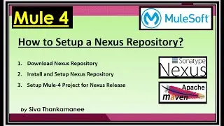 MuleSoft || How to Setup a Nexus Repository and Use in Mule Projects?