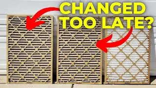 How Often You Should Change Your Air Filter [& Why That Number May Be WRONG for You]