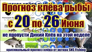 Прогноз клева рыбы на эту неделю с 20 по 26 Июня Календарь рыбака на июнь Календарь клева рыбы