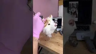 А вы доводите не идеальную работу до конца?